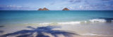 Shadow of a Tree on the Beach  Lanikai Beach  Oahu  Hawaii  USA