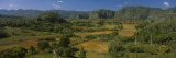 Valle de Vinales  Pinar del Rio  Cuba
