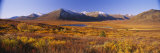 Hills on a Landscape  Yukon  Canada