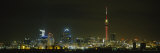 Buildings Lit Up at Night  Sky Tower  Auckland  New Zealand