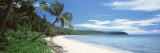 Palm Trees on the Beach  Nananu-I Ra Island  Fiji