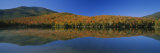 Reflection of Trees and Hill in a Lake  Heart Lake  Adirondack  New York State  USA