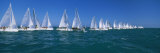 Sailboat Racing in the Ocean  Key West  Florida  USA