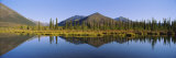 Reflection of Pine Trees in Water  View from Dempster Highway  Blackstone River  Yukon  Canada