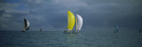 Sailboat Racing in the Ocean  Key West  Florida  USA