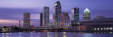Urban Skyline at Night  Tampa  Florida  USA