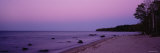 Trees on a Beach  Union Bay  Lake Superior  Upper Peninsula  Silver City  Michigan  USA