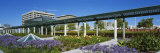 Flowers in a Formal Garden  Yerba Buena Gardens  San Francisco  California  USA