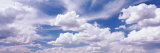 Cumulus Clouds in the Sky  Nevada  USA