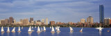 Boats on a River by a City  Charles River  Boston  Massachusetts  USA