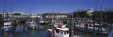 Boats Docked at a Harbor  Fisherman's Wharf  San Francisco  California  USA
