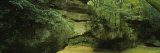 Rocks Covered with Moss in the Forest  Daniel Boone National Forest  Kentucky  USA