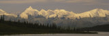 Moose Standing on a Frozen Lake  Wonder Lake  Denali National Park  Alaska  USA