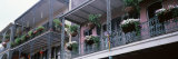Potted Plants Hanging from Balconies  French Quarter  New Orleans  Louisiana  USA