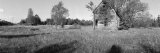 Old House in the Uncultivated Field  North Woods  Wisconsin  USA