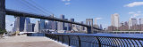 Brooklyn Bridge  New York  USA
