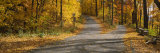 Autumn Leaves on the Road  Connecticut  USA