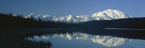Reflection of Mountain and Trees in the Lake  Wonder Lake  Mount Mckinley  Alaska  USA