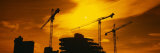 Silhouette of Cranes at a Construction Site  London  England