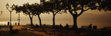 Benches in a Park  Torri del Benaco  Lake Garda  Italy