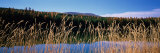Reflection of Hills on Water  Rainy Lake  Montana  USA