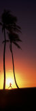 Silhouette of a Woman Running on the Beach  Magic Island  Hawaii  USA