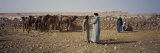 Four Men at a Camel Market  Morocco
