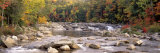 River Flowing through the Wilderness  White Mountains National Forest  New Hampshire  USA