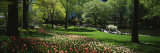 Flowers in a Park  Central Park  Manhattan  New York  USA