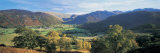 Trees on the Mountainside  Borrowdale  Lake District  England