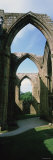 Archway  Bolton Abbey  Yorkshire  England