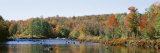 Deciduous Trees along Moose River  Adirondack Mountains  Adirondack State Park  New York  USA