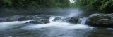 Little Pigeon River  Great Smoky Mountains National Park  Tennessee  North Carolina  USA