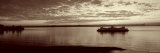 Silhouette of a Ferry in a River  Bainbridge  Washington State  USA