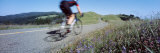 Man Riding a Bicycle  Bolinas Ridge  Marin County  California  USA