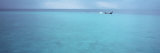 Longtail Boat Floating on Water  Bamboo Island  Thailand
