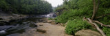 Stream of Water Flowing through a Forest  Swallow Falls State Park  Maryland  USA