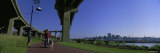 Woman Walking with Her Dog  Harbor Passage  St Johns Harbor  New Brunswick  Canada