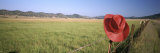 Red Cowboy Hat Hanging on the Fence  California  USA