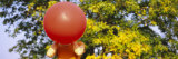 Woman Blowing a Balloon  Germany