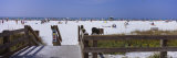 Tourists on the Beach  Lido Beach  Lido Key  Sarasota  Florida  USA