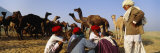 Group of People in Front of Camels  Pushkar Camel Fair  Pushkar  Rajasthan  India