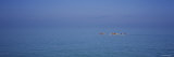 Tourists Kayaking in the Sea  Fort de Soto Park  Tierra Verde  Florida  USA