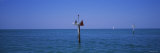 Channel Markers in the Sea  Gulf of Mexico  Florida  USA