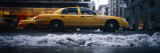 Yellow Taxies on the Street  New York  USA