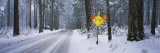 Signboard on a Snow Covered Roadside  Yosemite National Park  California  USA