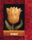 Orange Tulip