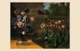 Vase de Fleurs et Parterre de Tulipes  1744