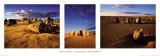 The Pinnacles  West Australia