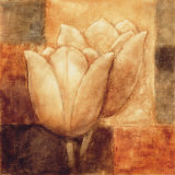 Two Tulips II